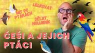 Češi a jejich ptáci. V angličtině